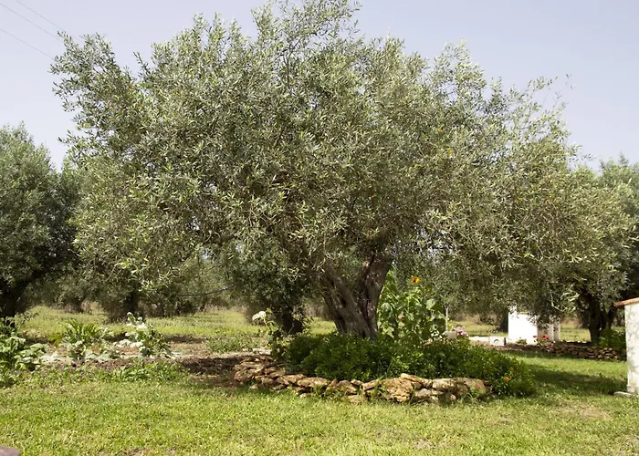 Casa Raineri